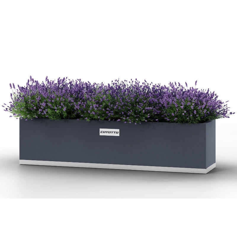 Rektangulär balkongkruka i pulverlackerat stål från Coyotto, fylld med blommande lavendel.