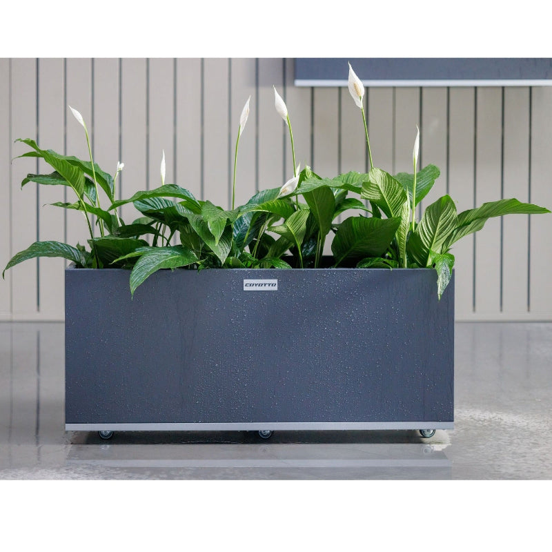 Miljöbild av rektangulär planteringskärl från Coyotto med hjul – perfekt för växter inomhus eller utomhus.